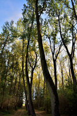 anzegem foret 22