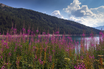 Lago Ritom, Valle di Piora, Quinto (Svizzera) - Alpi Lepontine © Alessandro Calzolaro