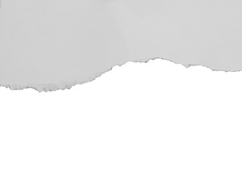 pieces of torn paper texture background, copy space.