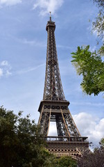 Eiffel Tower with trees, Paris, France.