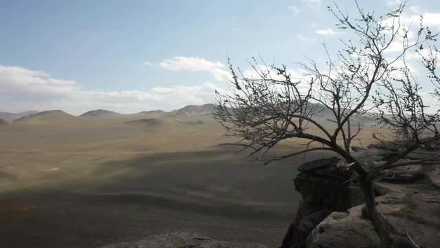the great panorama of the wild steppe valley on the background of the mountains from a bird's flight
