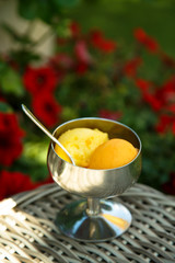 Tropical sorbet, or ice crem