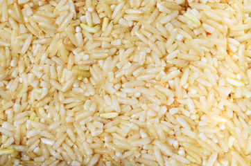 Uncooked brown rice texture, Starchy foods and carbohydrate