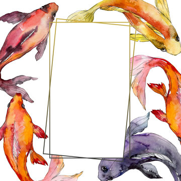 Aquatic underwater colorful tropical goldfish set. Watercolor background illustration set. Frame border ornament square.