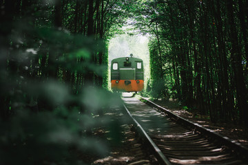 the train goes to the tunnel of love in the summer. green trees