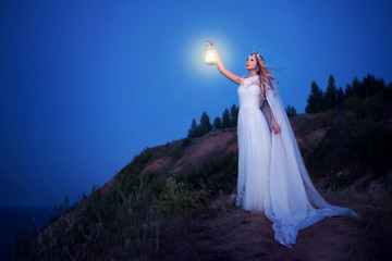Fototapeta na wymiar fairy holding lantern lighting way at night