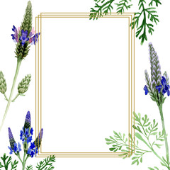 Blue violet lavender floral botanical flower. Watercolor background illustration set. Frame border ornament square.