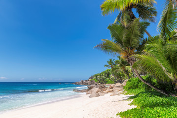 Exotic beach with coconut palms on tropical island.