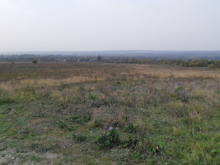 Forest autumn landscape on the outskirts of the village