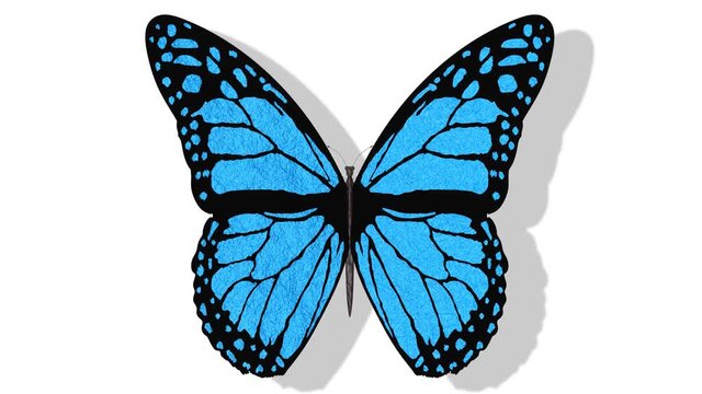 Animazione illustrazione 3D. Farfalla colorata vola con le ali aperte su sfondo bianco..