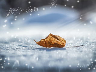 Волшебная зима