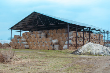 Huge barn for storing hay. Large bales of hay are stored under a large canopy. Waste from harvest Feed for herbivores, livestock