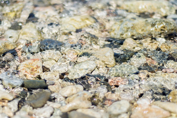Abstract natural background, Sea, wet stones, pebbles view through the water. Selective focus