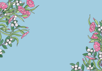 Floral background with flowers and snowberry.