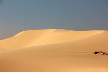 Fototapeta na wymiar sand dune (White sand dune) with blue sky background in summer in Mui Ne, Vietnam.