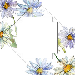 Daisy floral botanical flower. Watercolor background illustration set. Frame border ornament square.