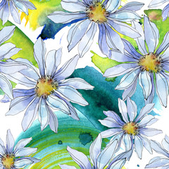 Daisy floral botanical flower. Watercolor background illustration set. Seamless background pattern.