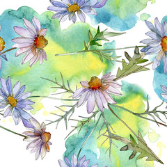 Daisy and chamomile floral botanical flower. Watercolor background illustration set. Seamless background pattern.