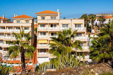 house, palm trees and cacti