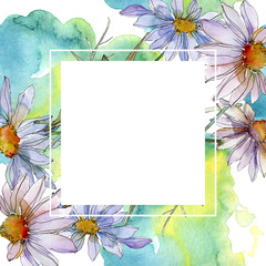 Daisy and chamomile floral botanical flower. Watercolor background illustration set. Frame border ornament square.