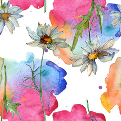 Fototapeta na wymiar Daisy floral botanical flower. Watercolor background illustration set. Seamless background pattern.