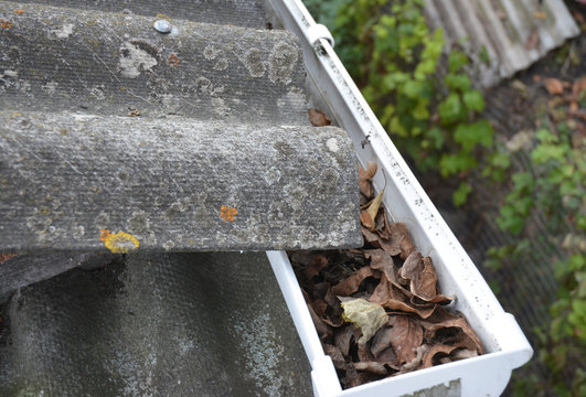 Clean gutters. Gutter Leaf Removal. Roof gutter with fallen leaves. Rain gutter cleaning photo.