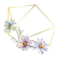 Daisy floral botanical flower. Watercolor background illustration set. Frame border ornament square.