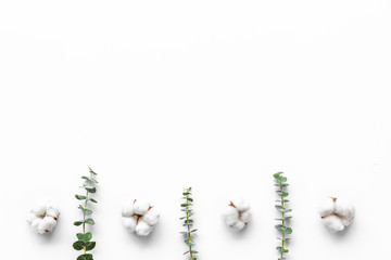 Flowers border with green eucalyptus branches and dry cotton on white background top view copy space. Blog header mockup