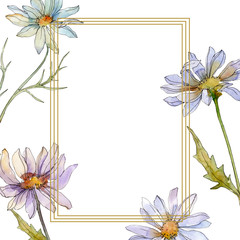 Daisy floral botanical flower. Watercolor background illustration set. Frame border ornament square.