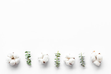 Flowers border with green eucalyptus branches and dry cotton on white background top view copy...