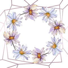 Daisy floral botanical flower. Watercolor background illustration set. Frame border ornament square.