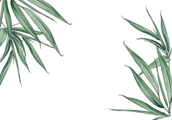 Floral background with bamboo leaves.