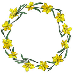 Vector Yellow Narcissus floral botanical flower. Engraved ink art. Frame border ornament square.