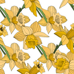 Vector Yellow Narcissus floral botanical flower. Engraved ink art. Seamless background pattern.