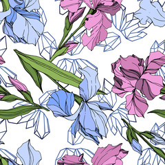 Vector Pink and blue iris floral botanical flower. Engraved ink art. Seamless background pattern.