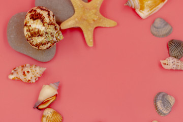 Focus on the big sink on the gray stone. Surrounded by small shells on a pink background. As a photo frame in memory of the summer vacation.