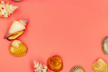 Shells on pink background. In the photo album about the girls ' summer vacation.