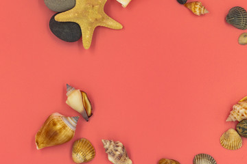 Obraz premium Shells of shellfish, starfish, pebbles-the memory of the sea. A collection of them on a pink background turns into a photo frame for a girl.