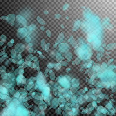 Turquoise flower petals falling down. Glamorous ro