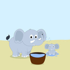 elephant douses a baby elephant
