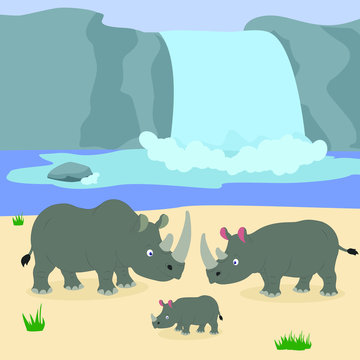 rhinos at the waterfall