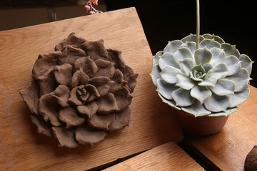 Sculpting clay plant decoration with model echeveria houseplant . Sculpting clay  crafts pottery in the process.