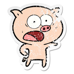 distressed sticker of a cartoon pig shouting