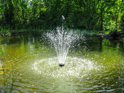 Beautiful fountain in garden pond against background of emerald green of shady summer garden. Freshness of water jets creates a mood of relaxation and happiness.
