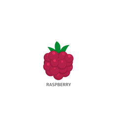 Raspberry icon Vector illustration