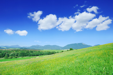 View of the green fields and blue sky