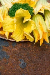  squash Yellow flower on copper plate