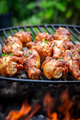 Closeup of tasty chicken leg on grill with flames