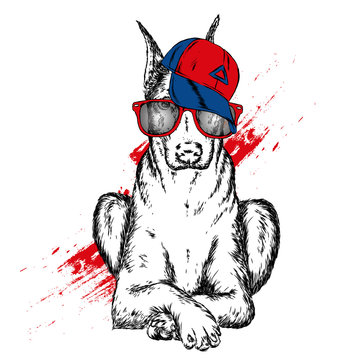 Cute Dog in cap and glasses. Vector illustration. 