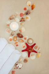 Sea shells and red star fish on sandy beach with copy space for text